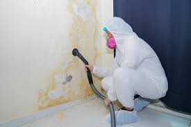 Best Industrial Mold Remediation in Earlington, KY